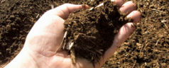 What Is Composting?