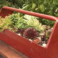 Upcycling tips for the garden