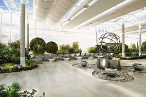 eco friendly office design ideas