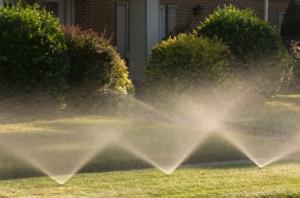 How to Choose the Right Irrigation System for Your Lawn